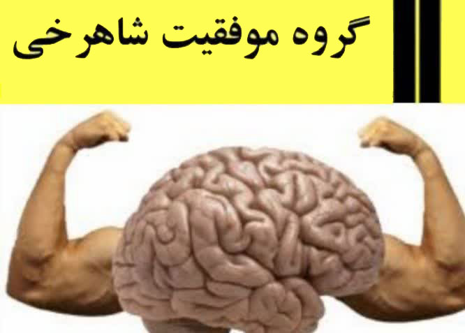 گروه موفقیت شاهرخی